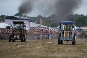 Wyścigi traktorów w Inowrocławiu - DSC_4289