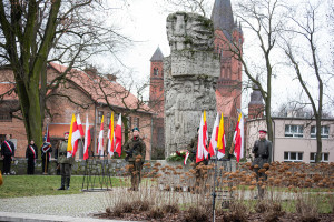 Powstanie Wielkopolskie - dsc_6371