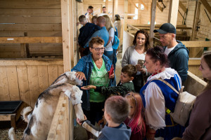 Fundacja Mosel - DSC_0805