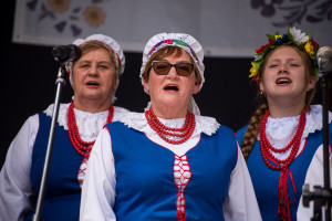 Kujawski Festiwal Pieśni Ludowej - DSC_5901