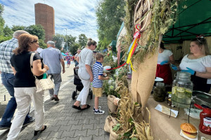 Kujawskie nowalijki pod Mysią Wieżą - 1