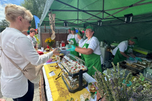 Kujawskie nowalijki pod Mysią Wieżą - 3