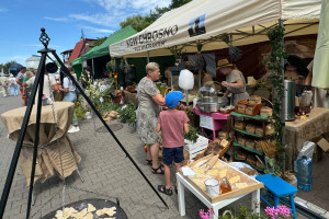 Kujawskie nowalijki pod Mysią Wieżą - 7