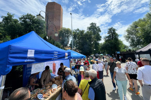 Kujawskie nowalijki pod Mysią Wieżą - 14