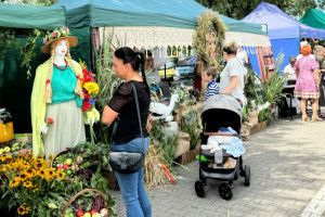 Kujawskie nowalijki pod Mysią Wieżą - 19