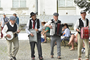 Festiwal kapel podwórkowych - 1