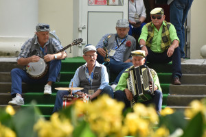 Festiwal kapel podwórkowych - 11