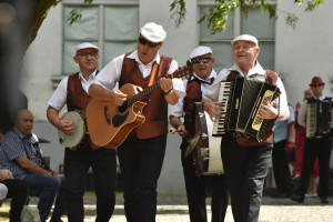 Festiwal kapel podwórkowych - 12