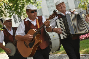 Festiwal kapel podwórkowych - 13