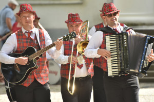 Festiwal kapel podwórkowych - 14