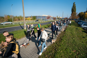 Parada kundelków - DSC_0688