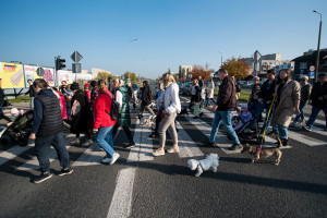 Parada kundelków - DSC_0717