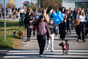 Parada kundelków - DSC_2625