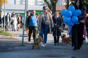 Parada kundelków - DSC_2628