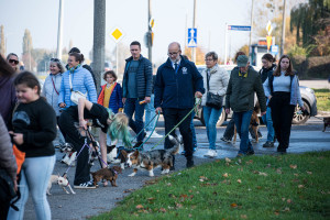 Parada kundelków - DSC_2630