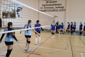 IMG_20251030_110120761