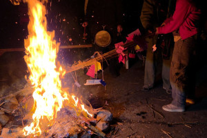 WhatsApp Image 2026-03-23 at 12.02.16 (1)