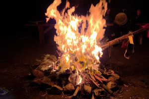 WhatsApp Image 2026-03-23 at 12.02.16 (4)