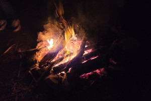 WhatsApp Image 2026-03-23 at 12.02.17 (2)