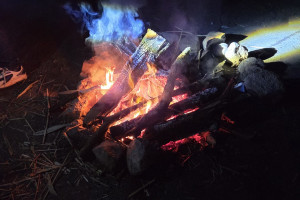 WhatsApp Image 2026-03-23 at 12.02.18