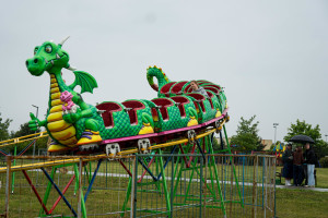 DSC00339