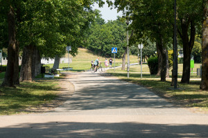DSC01682