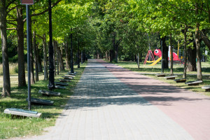 DSC01684
