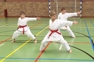 Karate Holandia - druż