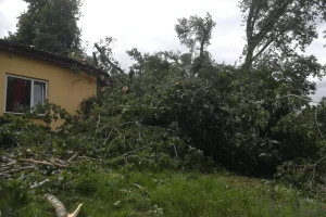 Zniszczenia w gminie Kruszwica - 2