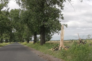 Zniszczenia w gminie Kruszwica - 8