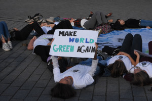 Młodzieżowy strajk klimatyczny - 1