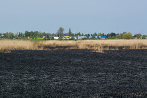 Krajobraz po pożarze na Kozłówce - Document NamelB