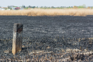 Krajobraz po pożarze na Kozłówce - Document NamelB_3