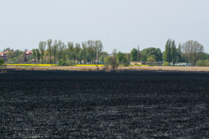 Krajobraz po pożarze na Kozłówce - Document NamelB_4