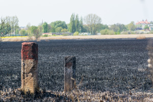 Krajobraz po pożarze na Kozłówce - Document NamelB_13