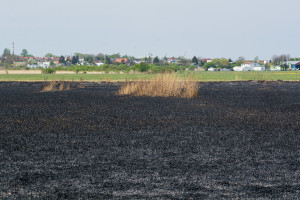 Krajobraz po pożarze na Kozłówce - Document NamelB_16