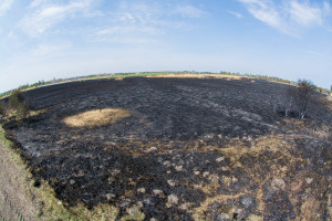 Krajobraz po pożarze na Kozłówce - Document NamelB_18