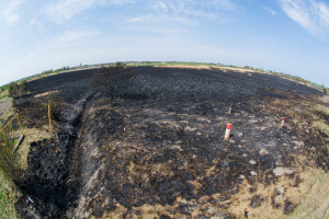 Krajobraz po pożarze na Kozłówce - Document NamelB_19