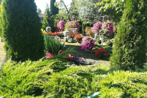 Najpiękniejsze ogrody i balkony - I miejsce Ogródek na terenie ROD - Elżbieta Dekańska ROD Kolejarz