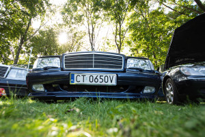 Zlot Mercedesów - DSC_9964