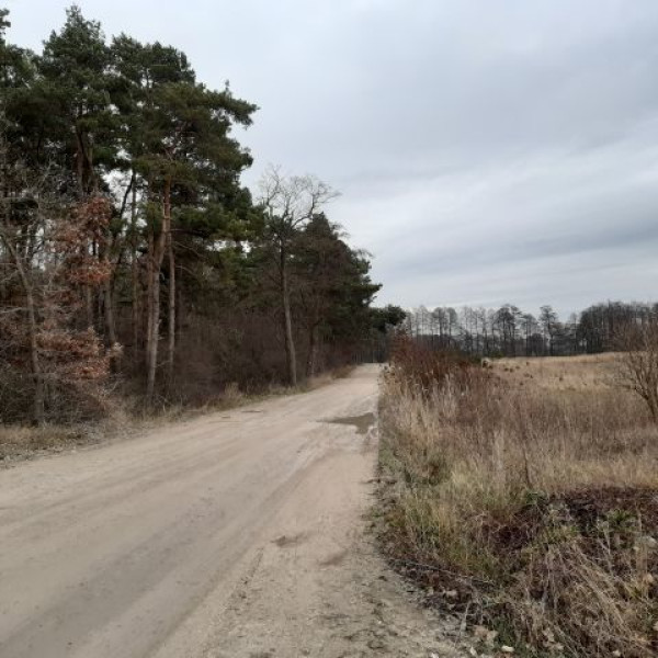 Działki w Ludkowie k/Pakości ** 69/m2 **