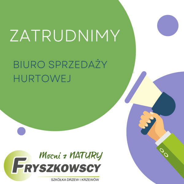 Pracownik biura sprzedaży hurtowej 