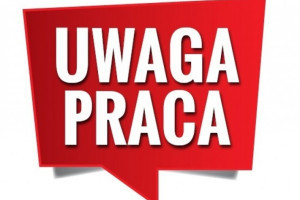|Praca zdalna w domu przy komputerze!