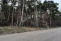 Działki w Ludkowie k/Pakości ** 69/m2 **