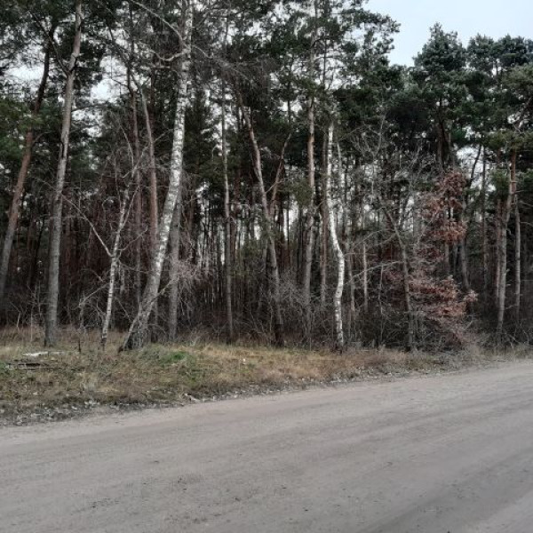 Działki w Ludkowie k/Pakości ** 69/m2 **