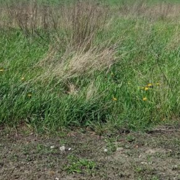 Na sprzedaż działka budowlana w Jacewie-okolice ul. Św. Ducha w Inowrocławiu