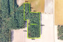 Sprzedam 2,5 ha lasu - Stanomin