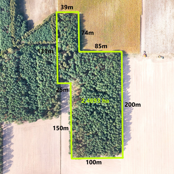 Sprzedam 2,5 ha lasu - Stanomin
