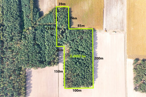 |Sprzedam 2,5 ha lasu - Stanomin