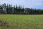 Na sprzedaż działka ok. 1216m2 w Inowrocławiu